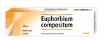 Euphorbium Compositum -Heel Nasentropfen L sprej nosní 20 ml