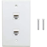 2 Pack 2 Port Ethernet Wall Plate, Cat6 Female To Female Wall Jack RJ45 Keystone Inline Coupler Wall Outlet, White