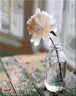Zuty Pictură pe numere Floare într-o sticlă