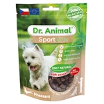 DR. ANIMAL Sportline pochoutka bažant pro psy 100 g