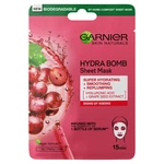 GARNIER Skin Naturals Hydra Bomb Textilná maska s výťažkom z hrozna 28 g