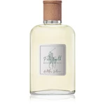 Ralph Lauren Polo Earth Antilles Vetiver toaletná voda unisex 100 ml