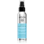 Apivita Greek Mountain Tea Face Water antioxidační hydratační mlha 100 ml