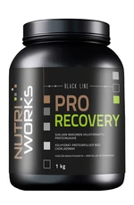 NUTRIWORKS Pro Recovery čokoláda 1 kg