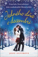 Jedného dňa v decembri - Josie Silverová