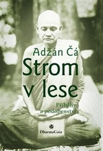 Strom v lese - Adžán Čá