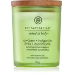 Chesapeake Bay Candle Mind & Body Awaken & Invigorate vonná svíčka 96 g