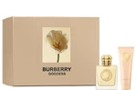 Burberry Burberry Goddess Spring Edition - EDP 50 ml + tělové mléko 75 ml