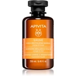 Apivita Shine and Revitalizing Shampoo revitalizačný šampón pre posilnenie a lesk vlasov 250 ml