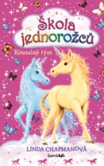 Škola jednorožců - Kouzelný tým - Linda Chapmanová - e-kniha