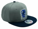 Kšiltovka HARRY POTTER Snapback Grey & Blue Ravenclaw