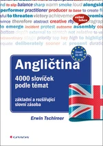 Angličtina 4000 slovíček podle témat - Erwin Tschirner