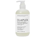 Hloubkově čisticí kúra pro odstranění kovů a minerálů z vlasů Olaplex Broad Spectrum Chelating Treatment - 370 ml + dárek zdarma