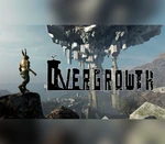 Overgrowth Steam CD Key