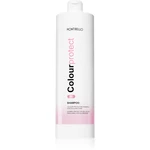 Montibello Colour Protect Shampoo hydratační a ochranný šampon pro barvené vlasy 1000 ml