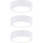 Paulmann 99989  LED osvetlenie na stenu / strop   9 W teplá biela biela