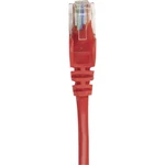 Intellinet 739801 RJ45 sieťové káble, prepojovacie káble CAT 6 S/FTP 25.00 cm červená fóliové tienenie, tienenie pletivo