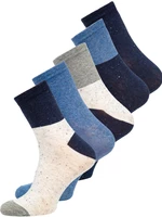 Vícebarevné pánské ponožky Bolf X10167-5P 5 PACK