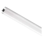 Zářivková trubice OSRAM LUMILUX L 18W/830 T8 G13 teplá bílá 3000K 600mm