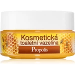 Bione Cosmetics Honey + Q10 kosmetická vazelína 155 ml