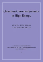 Quantum Chromodynamics at High Energy