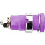 Bezpečnostní vestavná zásuvka 4 mm Schützinger DI SEB 6445 Ni / PVI, fialová, 1 ks