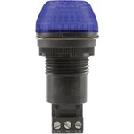 Signální osvětlení LED Auer Signalgeräte IBS, modrá, trvalé světlo, blikající světlo, 24 V/DC, 24 V/AC
