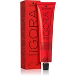 Schwarzkopf Professional IGORA Royal farba na vlasy odtieň 8-1 Light Blonde Cendré 60 ml