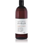 Ziaja Baltic Home Spa Wellness pena do kúpeľa 500 ml