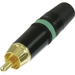 Rean AV NYS373-5 cinch konektor zástrčka, rovná Pólov: 2  čierna, zelená 1 ks