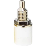 BKL Electronic 072312 zdierka pre banánik zásuvka, vstavateľná vertikálna Ø pin: 4 mm biela 1 ks