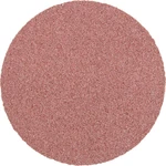 PFERD CD 50 A 120 FORTE 42751512 brúsny list  Zrnitosť 120  (Ø) 50 mm 100 ks