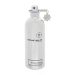 Montale Wood & Spices 100 ml parfumovaná voda pre mužov