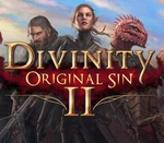 Divinity: Original Sin 2 - Divine Edition Steam Account