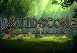 Druidstone: The Secret of the Menhir Forest Steam Altergift