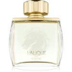 Lalique Pour Homme Equus parfémovaná voda pro muže 75 ml