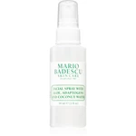 Mario Badescu Facial Spray with Aloe, Adaptogens and Coconut Water osviežujúca hmla pre normálnu až suchú pleť 59 ml