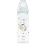 Kikkaboo Savanna Baby Bottle dojčenská fľaša 3 m+ Mint 240 ml