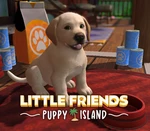Little Friends: Puppy Island Steam CD Key