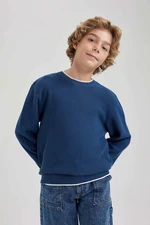 DEFACTO Boy Regular Fit Crew Neck Pullover