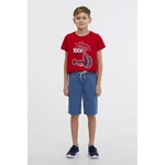 SAM73 Falko Boys' Shorts - Boys