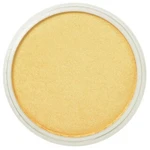 PanPastel 9ml – 910.5 Light Gold