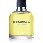 Dolce&Gabbana Pour Homme toaletná voda pre mužov 75 ml