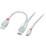 Kabel LINDY LINDY USB 2.0 Dual Power Y-Kabel, 1m 31784, 1.00 m, transparentní