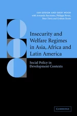 Insecurity and Welfare Regimes in Asia, Africa and Latin America
