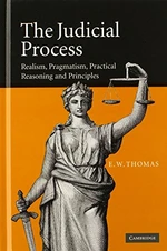 The Judicial Process