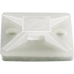 Úchytka TRU COMPONENTS TC-HCR101S203 1593043, samolepicí, 10.10 mm (max), černá, 1 ks