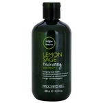 Paul Mitchell Tea Tree Lemon Sage energizující šampon pro hustotu vlasů 300 ml