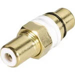 Cinch adaptér cinch zásuvka - cinch zásuvka BKL Electronic 1103053, 1103053, 1 ks