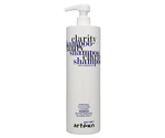 Šampón proti lupinám Artégo Clarity - 1000 ml (0165717) + darček zadarmo